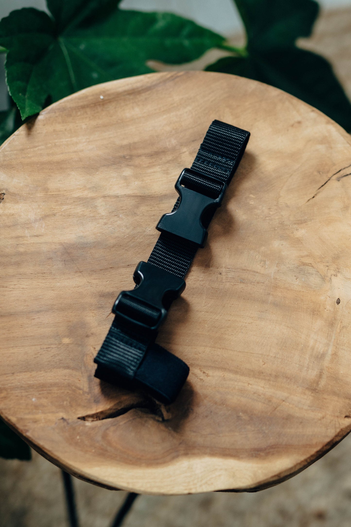 LennyLamb Strap Extension