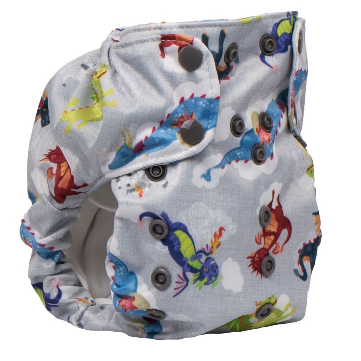 Smart Bottoms Dream Diaper 2.0 All-in-one (AIO)